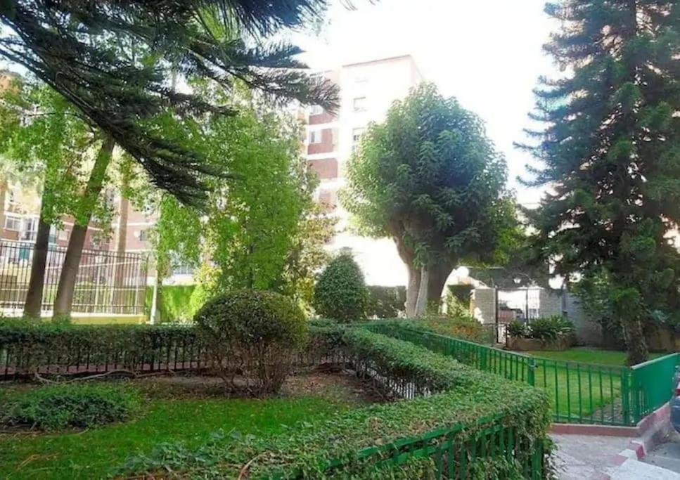 Gran San Carlos Apartment Málaga